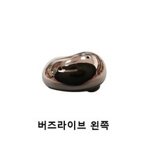 버즈 라이브 왼쪽 오른쪽 본체충전기 개별 낱개 단품 한쪽 판매 정품 새제품 당일 발송, 왼쪽+여분이어팁+케이, 브론즈