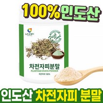 차전자 가루 300g 몸신 코스트코 인도산 차전자피 효소 수용성 식이 섬유소 섬유질 장청소 차전초, 뉴트로웨이 차전자피분말 300g 1통, 1개