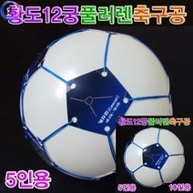 풍선 황도12궁 풀러렌축구공 (5인용) 풀러렌축구공 충구공 과학교구 플러렌