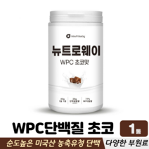 농축유청 단백질 분말 WPC 필수아미노산 비타민 미네랄 맛있는단백질 초코맛 프로틴보충제, 1통, 단백질쉐이크 600g