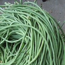 보령댐 줄콩, 1박스, 500g