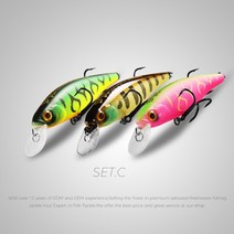 루어 BEARKING Squad Minnow 3 개 세트 당 95mm 14.8g 65mm 6g 텅스텐 웨이트 시스템 SP 낚시 미끼 모듬 색상 워블러 크랭크 미끼, 65mm 세트.C