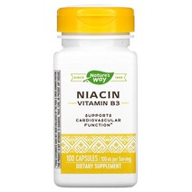 네이쳐스웨이 나이아신 비타민B3 100mg 100정, 1개, 기본