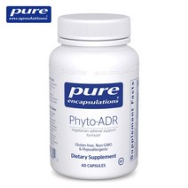 퓨어인캡슐레이션 신장 부신 Phyto-ADR, 60정, 1개