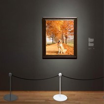 행사 진입로 통제선 대기 가이드 라인 로프 차단봉 대기줄 기둥 표지판 전시회 철제 야외 안전 차단바 스틸 금지 작품 광고판 접근 폴대 스탠딩 전시장 펜스 갤러리 진열대 제한 매대