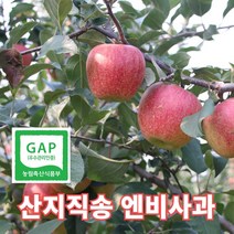 산지직송 예산 엔비사과 세척사과 아삭아삭 꿀사과, 엔비사과 2.5kg 대과 6~8과