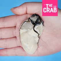 제철 통영 생굴 깐굴 알굴, 1개, 10kg (횟감용)