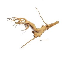 가지유목 15cm내외 SS (랜덤) . 수족관 어항 장식품, 1개