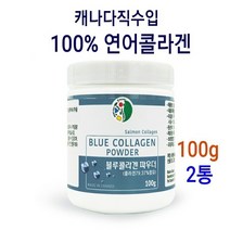 캐나다 프리미엄 연어콜라겐 저 분자 피쉬콜라겐 저분자콜라겐 펩타이드 가루 먹는 어류 콜라겐 분말 추천 청정지역 생선 캐나다산 연어 100프로 히알루론산 블루베리 로열제리 첨가 대용량, 2통, 100g
