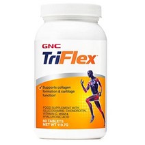 지앤씨 트리플랙스 GS GNC Triflex GS 500mg 60정