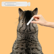 고양이 전용 바르는 필루 스팟온 1mL, 반려묘 전용 바르는 스팟온 1ml