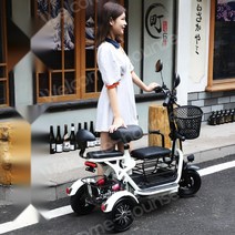삼륜 전기오토바이 여성용 전동 스쿠터 성인 3인용 세발 전기자전거 바이크 화이트, 08.듀얼 600W 20A 50km
