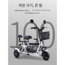 3륜 전기 오토바이 바이크 스쿠터 여성 전기차 등교, Q3 2인승 12A 약 50km 48V