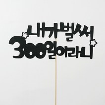300일촬영 리뷰 좋은 인기 상품의 최저가와 가격비교