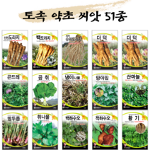 [농사마트] 토속 약초 씨앗 모음 슈퍼 도라지 냉이 고들빼기 곰취 곰보 더덕 두릅 산마늘 취나물 당귀 곤드레 감초 재래종 산나물 종자, 66. 장뇌삼 200립