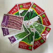루아데코 채소재배 씨앗 모음 열무 시금치 완두콩 옥수수 베란다 텃밭만들기, 얼룩이강낭콩