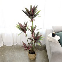 조아트 인조나무 조화나무 실내조경 인테리어 아레카야자 몬스테라 향나무 드나세나, 드라세나레드 135cm, 1개