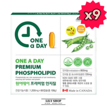 네추럴라이즈 원어데이 프리미엄 인지질 90캡슐 식약처 식약청 인정 인증 해썹 haccp 영양제 건강기능식품 식물성 레시틴 포스파티딜콜린 대두유 완제품 직수입 콜레스테롤 세포막, 90캡슐X9개, 9개
