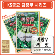 23년산 KS종묘 김장용 가을 무 아랑무 1500립 - 국내생산 초롱무 아삭하고 단단한 소형무 초록무 동치미무 춘파/추파 가능, 1개