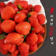 GAP 지리산 산청 설향 딸기 중품 상품 특품 1kg, 상품 1kg (60과 내외)