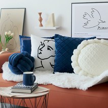 블루벨벳 니트쿠션 앙리마티스 북유럽 겨울 모찌 인테리어쇼파쿠션 꽈배기 원형 사각 거실침대, F.30x50cm, 쿠션