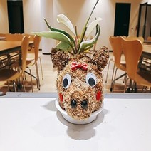 돼지 토피어리재료 미니화분 체험학습 공기정화, 원숭이