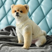 다양한 강아지조끼옷 인기 순위 TOP100 제품을 소개합니다