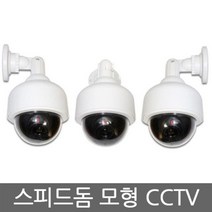 스피드 돔 모형 CCTV