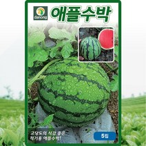 애플수박 씨앗 수박 씨 종자 5립, 1개