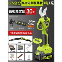 충전식 자동 전지가위 나뭇가지 전동 절단기 전정가위 리튬 배터리, 배터리 x 3 + 2.4M개