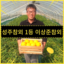 성주 참외5kg 이상준참외 16브릭스이상 산지직송, 꼬마과-5kg, 1개