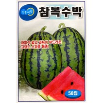 참복수박 수박씨앗 50립
