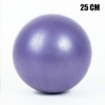 55/65/75/85/95 CM 요가볼 필라테스 피트니스 밸런스 볼 체조 임산부 배달 운동 피트니스 조산 PVC 볼, purple 25 CM 옵션