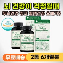 60대 70대 기억력 저하 감퇴 인지력 떨어질때 은행잎 추출물 영양제 징코 오메가3 노인 어르신 부모님 손 발 팔 다리 저릴때 저림 혈액 혈행 개선 순환 두뇌엔 두뇌건강 피에스