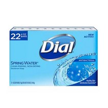 Dial Spring Water Antibacterial Deodorant Soap 다이알 스프링 워터 항균 데오드란트 비누113g 22개, 113g, 1개