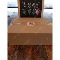 머메이드 샤랄랄라 인스 다꾸 랜덤박스