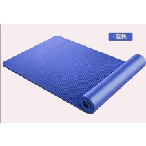 필라테스 두꺼운 매트 주짓수 태권도 층간소음 방지 요가 홈트 낙법 방음 바닥, 레이크 블루