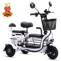 세발 전기 자전거 소형 노인 여성 삼륜 전동차 스쿠터 3륜 전동 어르신 마실 소형 미니, 1개, 배터리 없음 + 48V