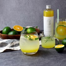 다솔 리얼 청귤 시럽 유기농 제주 풋귤 청귤청 고농축 과일 수제청 선물세트, 1개, 500ml