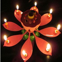 행사 생일 축하 멜로디 회전 연꽃초, 플라워캔들 BL09089