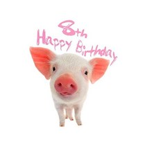 8번째 생일 축하합니다: 귀여운 돼지 디자인의 아이들을 위한 거대한 365페이지 스케치북. 낙서 그리기 및 스케치에 적합합니다. 생일 카드보다 훨씬 나은 방법!