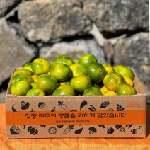 신씨곳간 제주 하우스 밀감 효돈감귤 로얄과, 1.5kg (14~24과), 1개