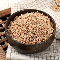 기타 [부지런한농부] 스펠트밀(고대이집트 밀) 800g