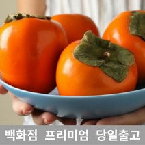 [특 등급 선별] 대봉 5kg 감효능 홍시효능 단감 곶감만들기 대봉감말랭이 대봉시 떫은감 대봉홍시 대봉감가격 곶감용감 대봉가격 대봉감홍시 감홍시 냉동홍시 청도홍시 씨없는단감