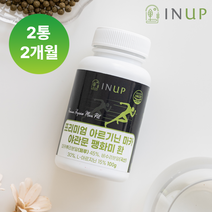 인업 프리미엄 아르기닌 마카 야관문 팽화미 환 100g, 2통(2개월분)