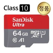 샌디스크 블랙박스메모리 microSD카드 로힘 Needs X300 X500 X600 호환, 64GB