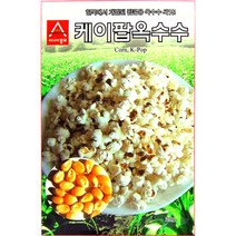 팝콘 옥수수씨앗 옥수수 씨앗 corn seed 20g