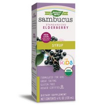 네이쳐스웨이 어린이용 삼부커스 엘더베리 시럽, 120ml, 1개