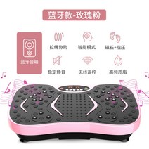 파워플레이트운동 쉐이크보드 음파진동기 진동 운동기구덜덜이 운동기 효과, F.199단+마그네틱 지압판