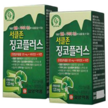 일양약품 서클존 징코플러스 4개월분, 60정, 20개